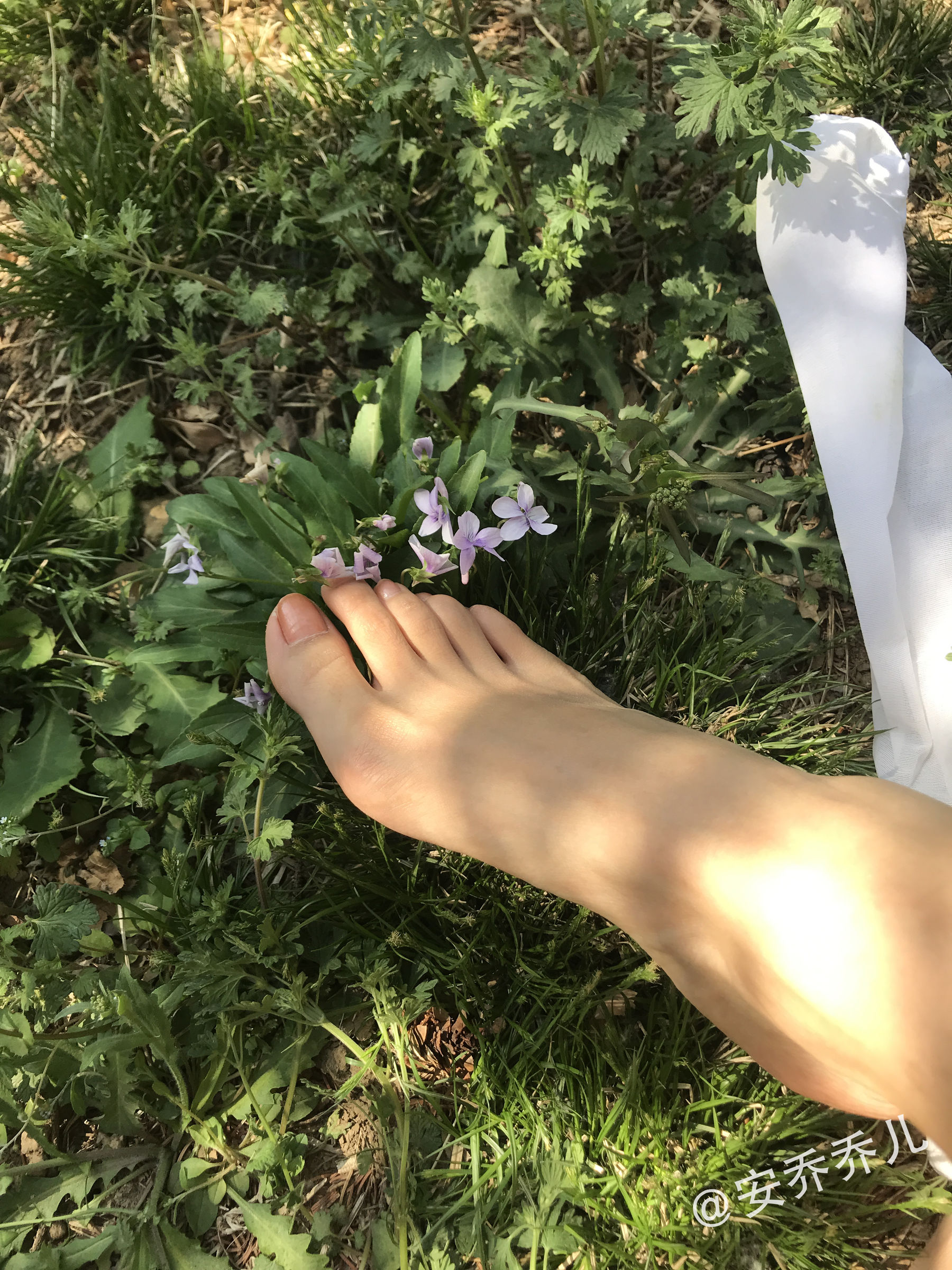 安乔乔儿(Nia乔乔) No.018 夏天的风 微密圈-第32张