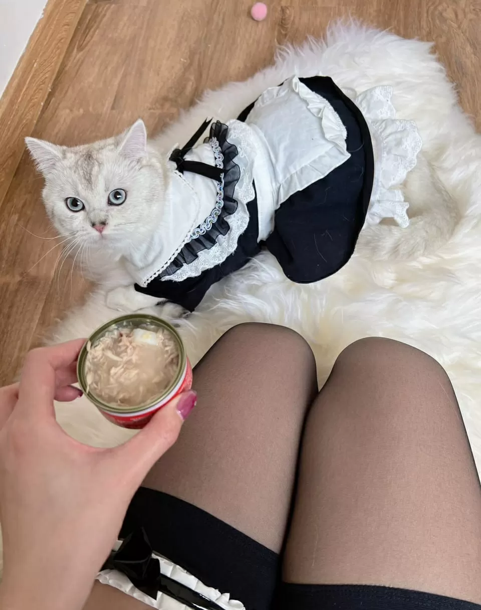 就是阿朱啊 – 黑丝女郎 微密圈-第10张