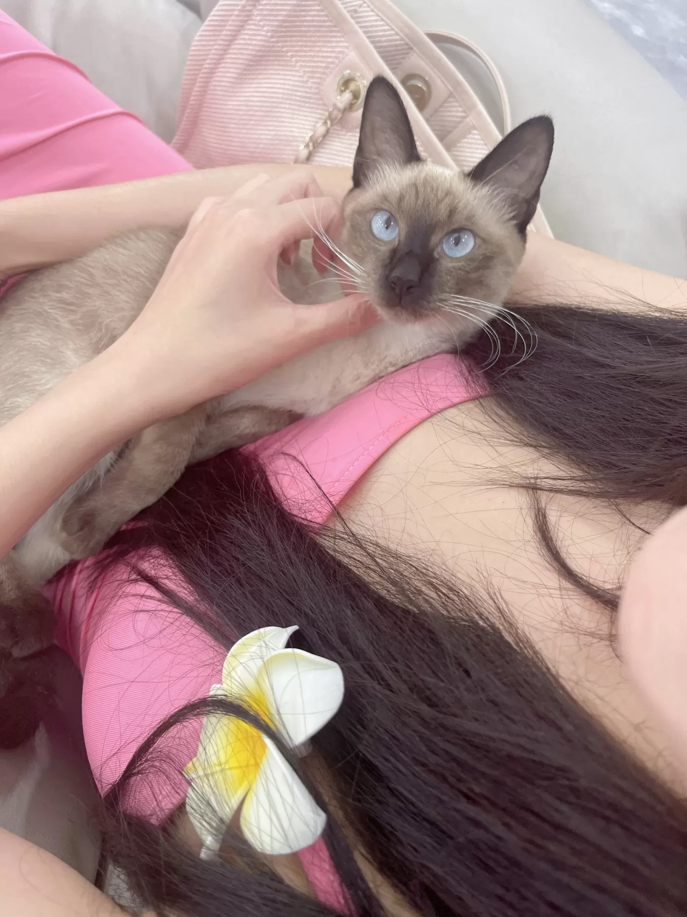 就是阿朱啊 – 逛超市+撸猫 微密圈-第4张
