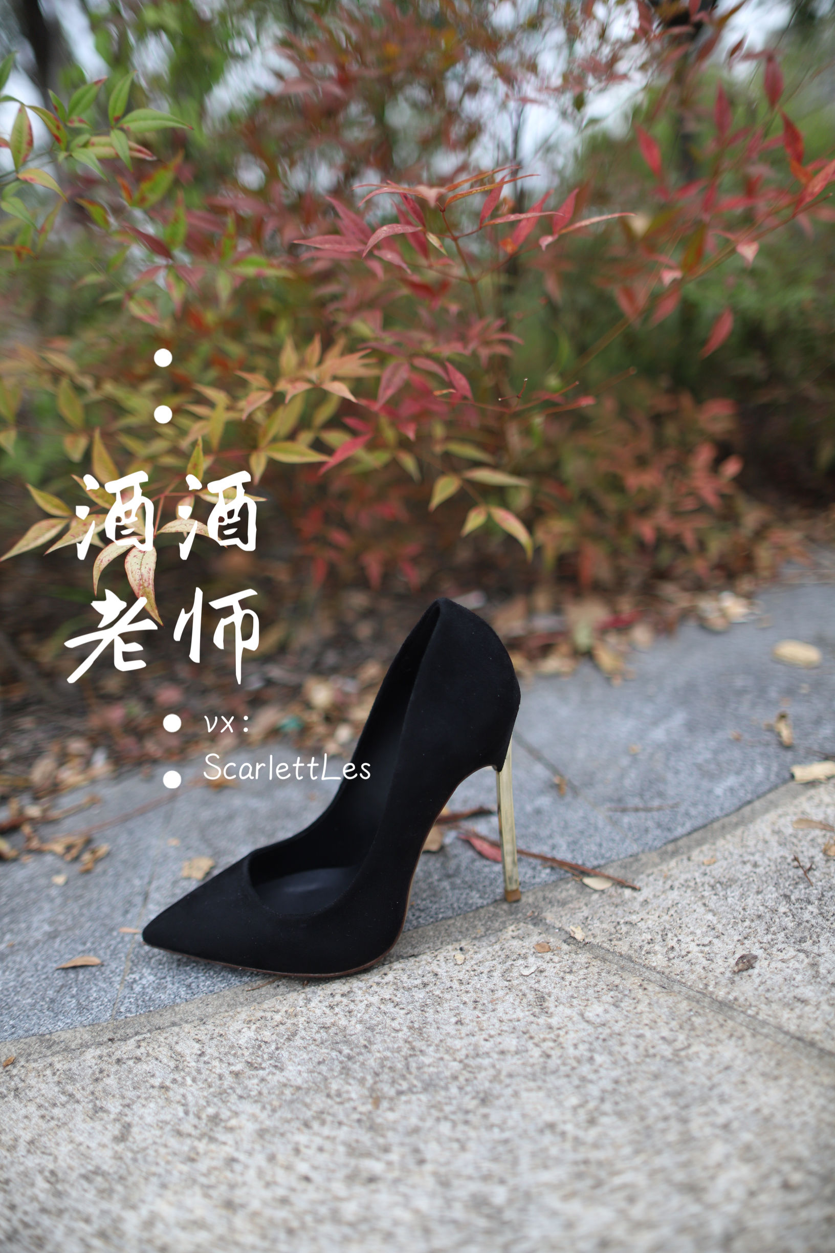酒酒老师 – 上课前误穿黒丝 微密圈-第5张
