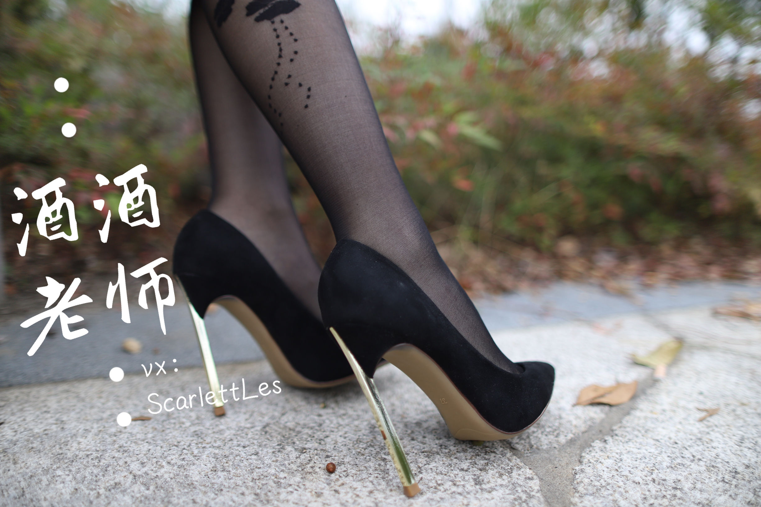 酒酒老师 – 上课前误穿黒丝 微密圈-第50张
