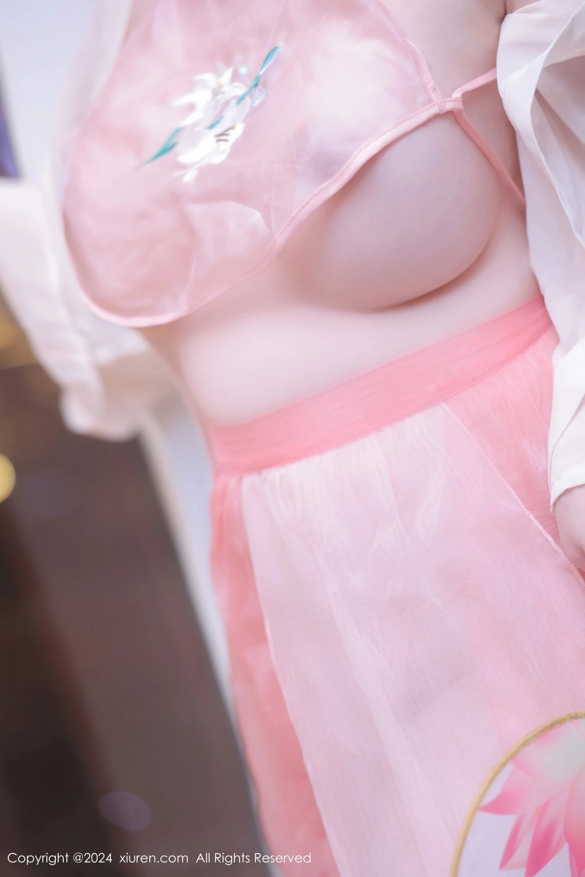 [秀人网] 2024.05.08 No.8503-008