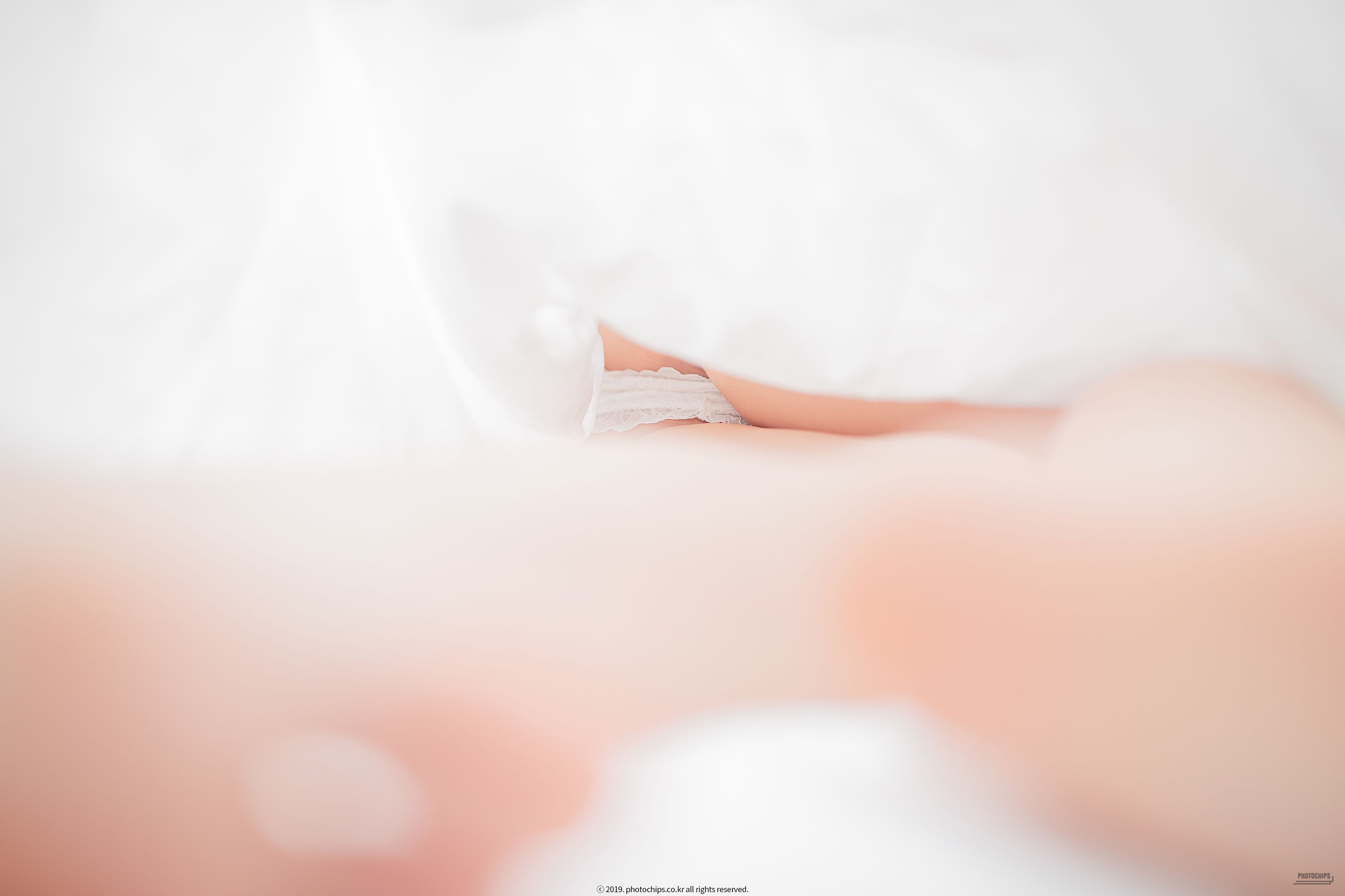 [Photochips] Vol.64 – No.02 Dami 日韩美图-第25张