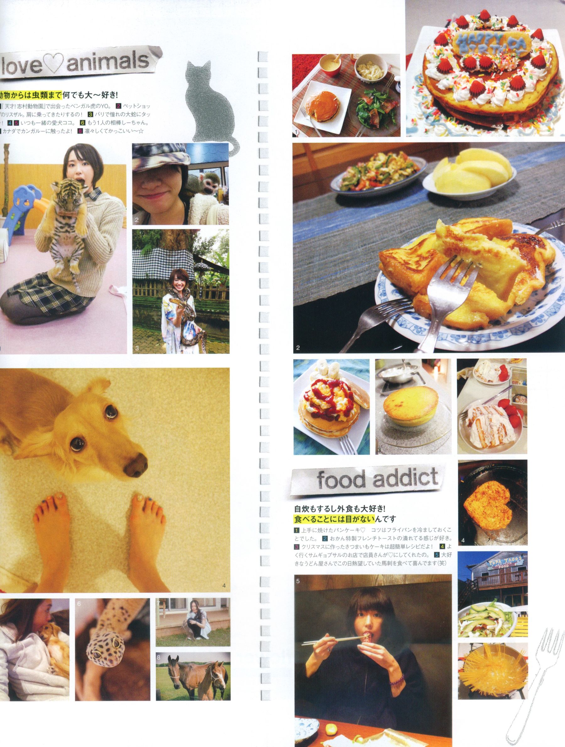 新垣结衣 Fashion Photo Magazine 2012 Cosplay-第33张