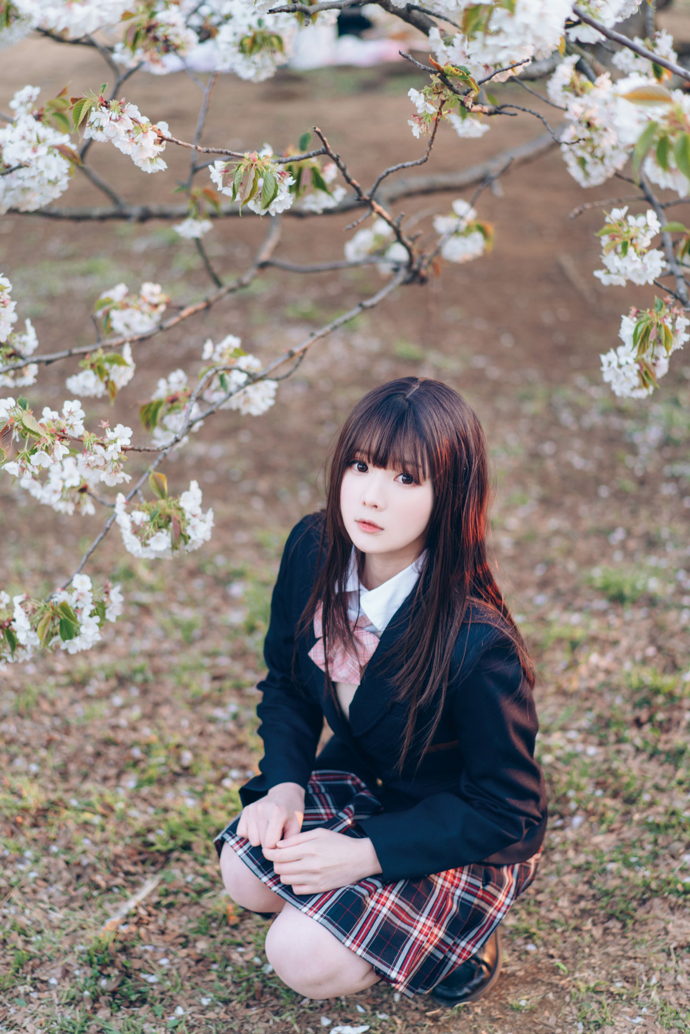 微博妹纸霜月shimo – SPRING Cosplay-第31张