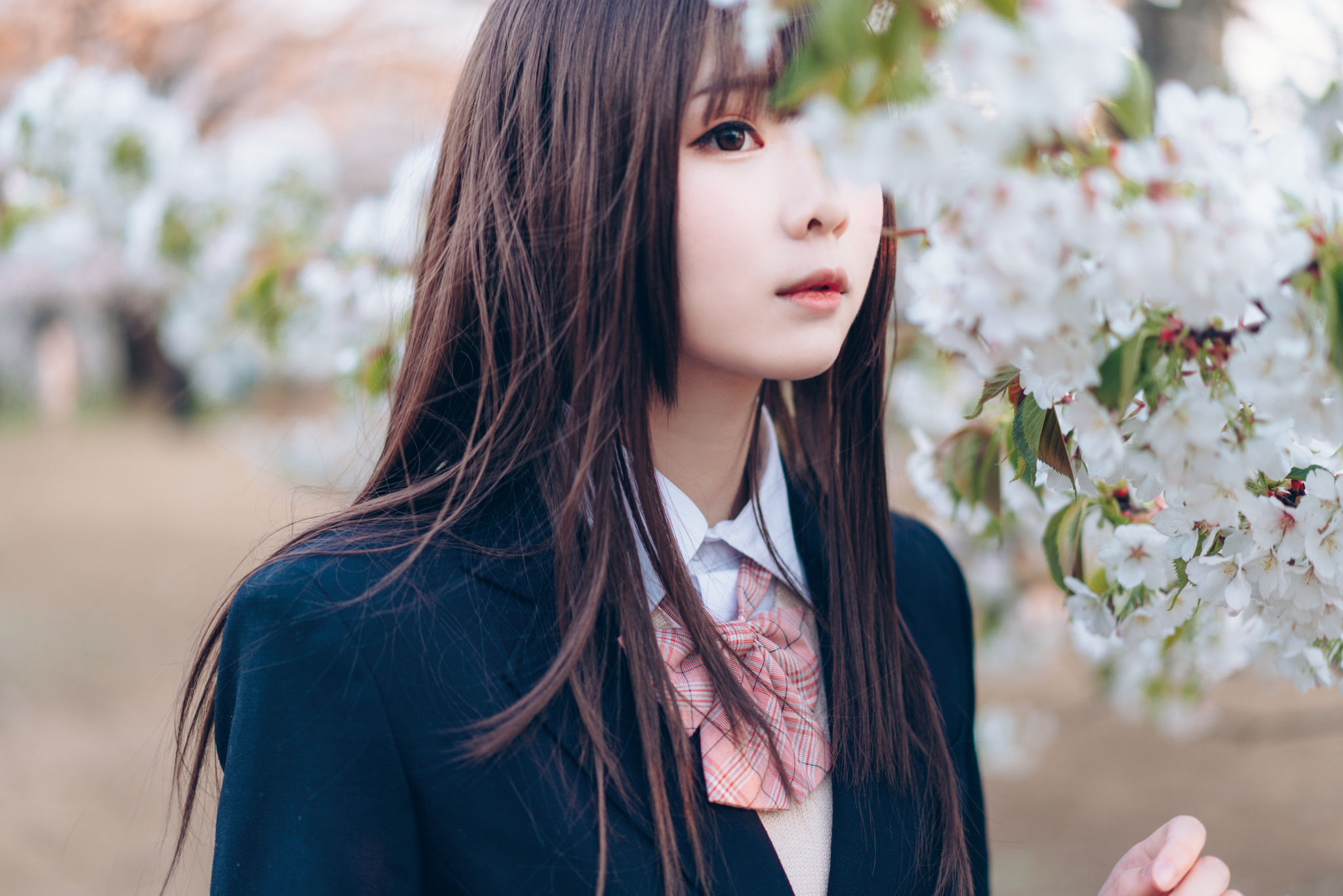 微博妹纸霜月shimo – SPRING Cosplay-第36张