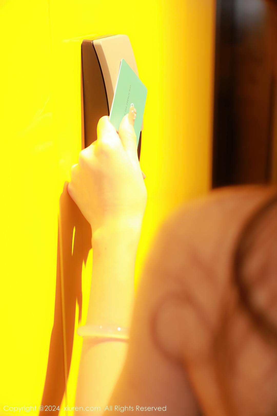 [XIUREN秀人网] 2024.02.26 NO.8140 林幼一 [77P-678MB]