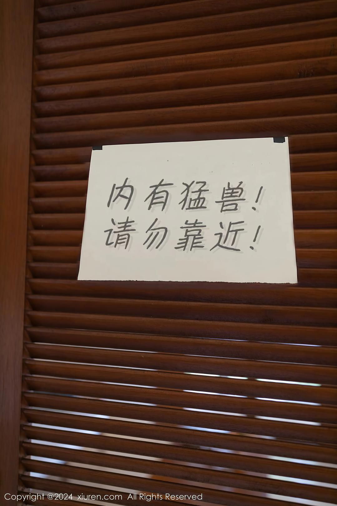 [XIUREN秀人网] 2024.01.26 NO.8029 幼幼 [80P-742MB]