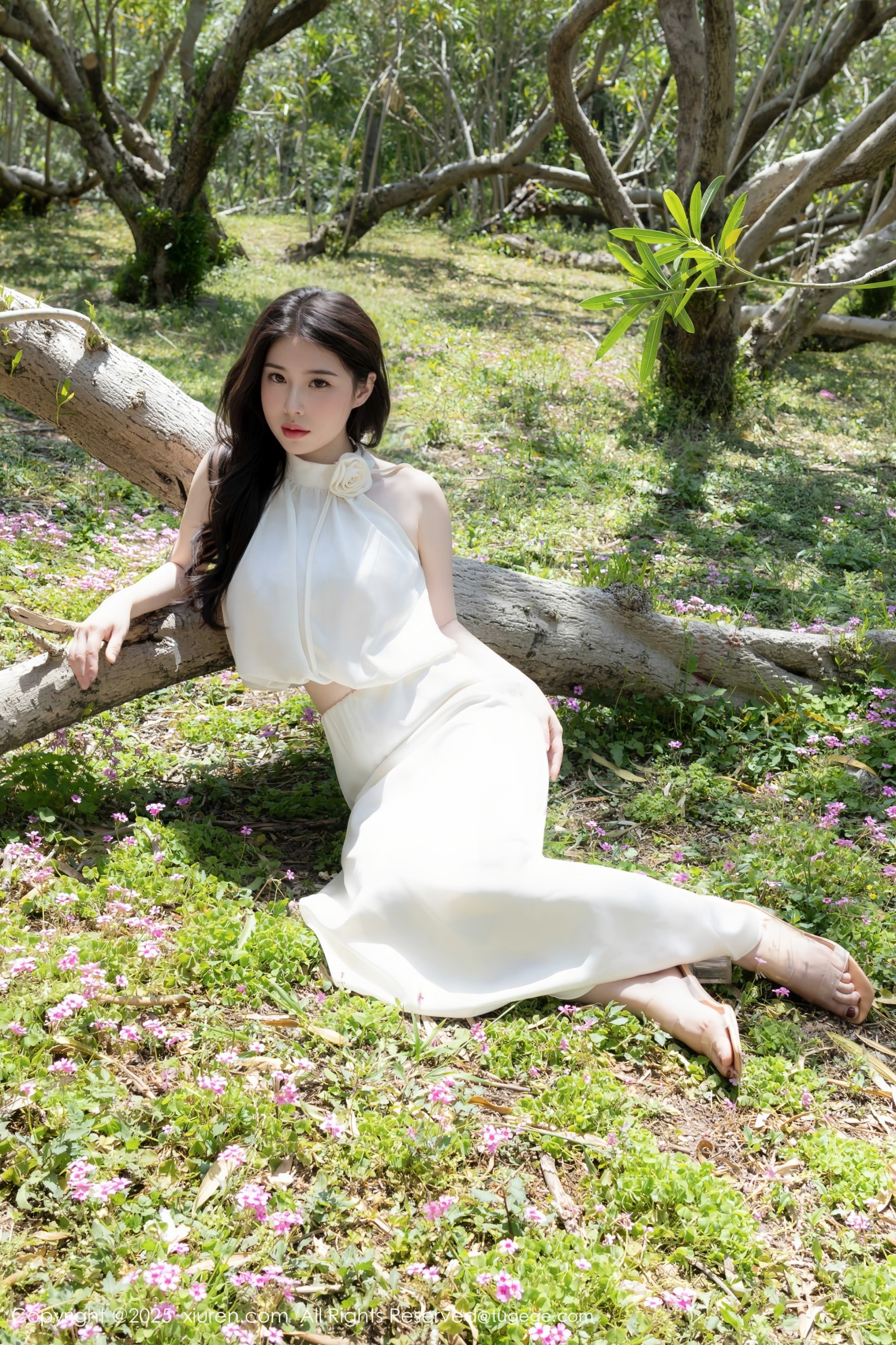[XIUREN秀人网] 2025.06.30 NO.10485 模特合集 白茹雪abby [82P]