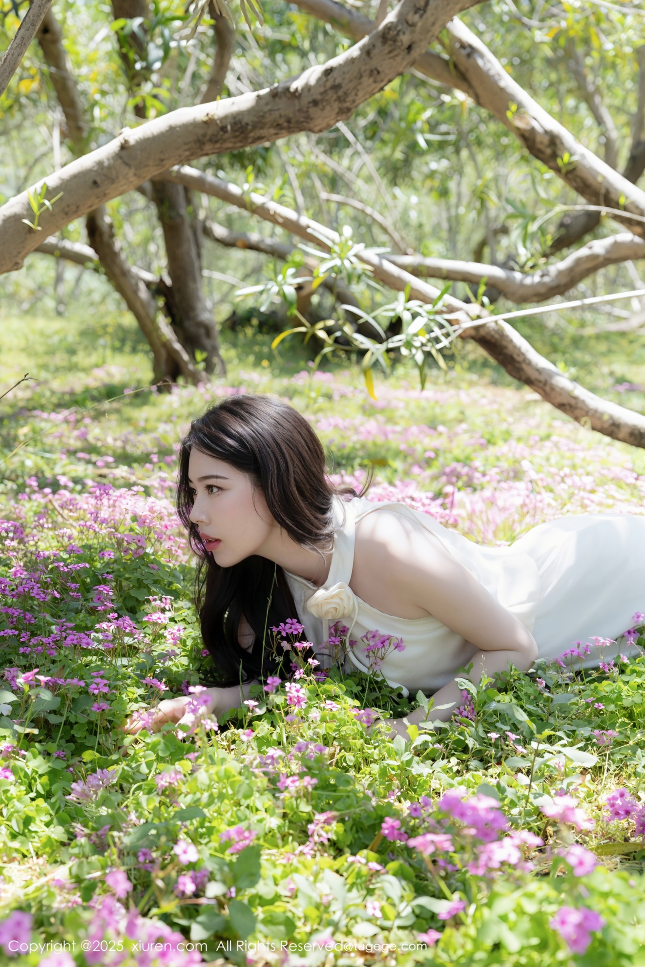 [XIUREN秀人网] 2025.06.30 NO.10485 模特合集 白茹雪abby [82P]