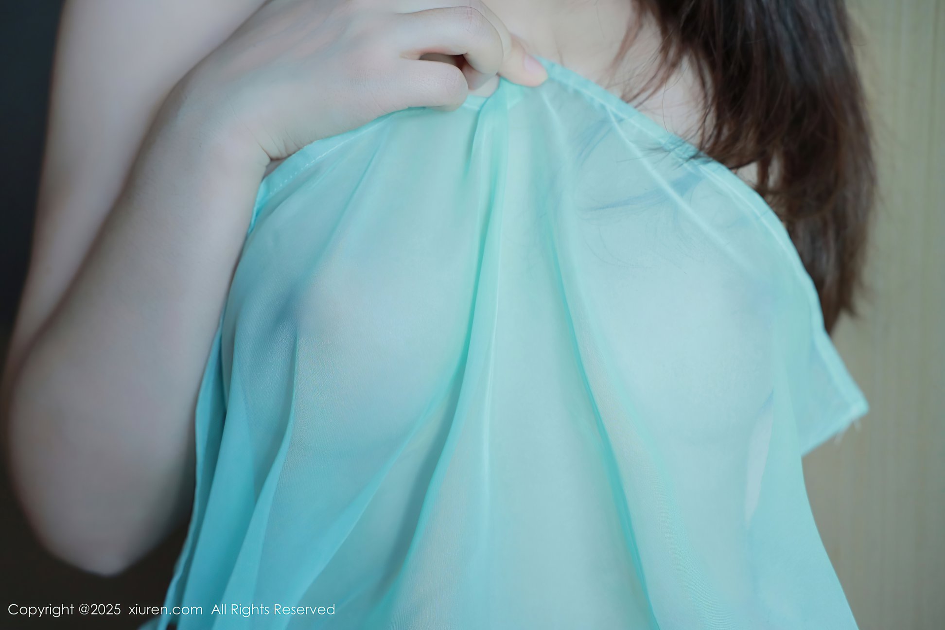 [XIUREN秀人网] 2025.01.24 NO.9807 Evelyn艾莉 [92P-962MB]
