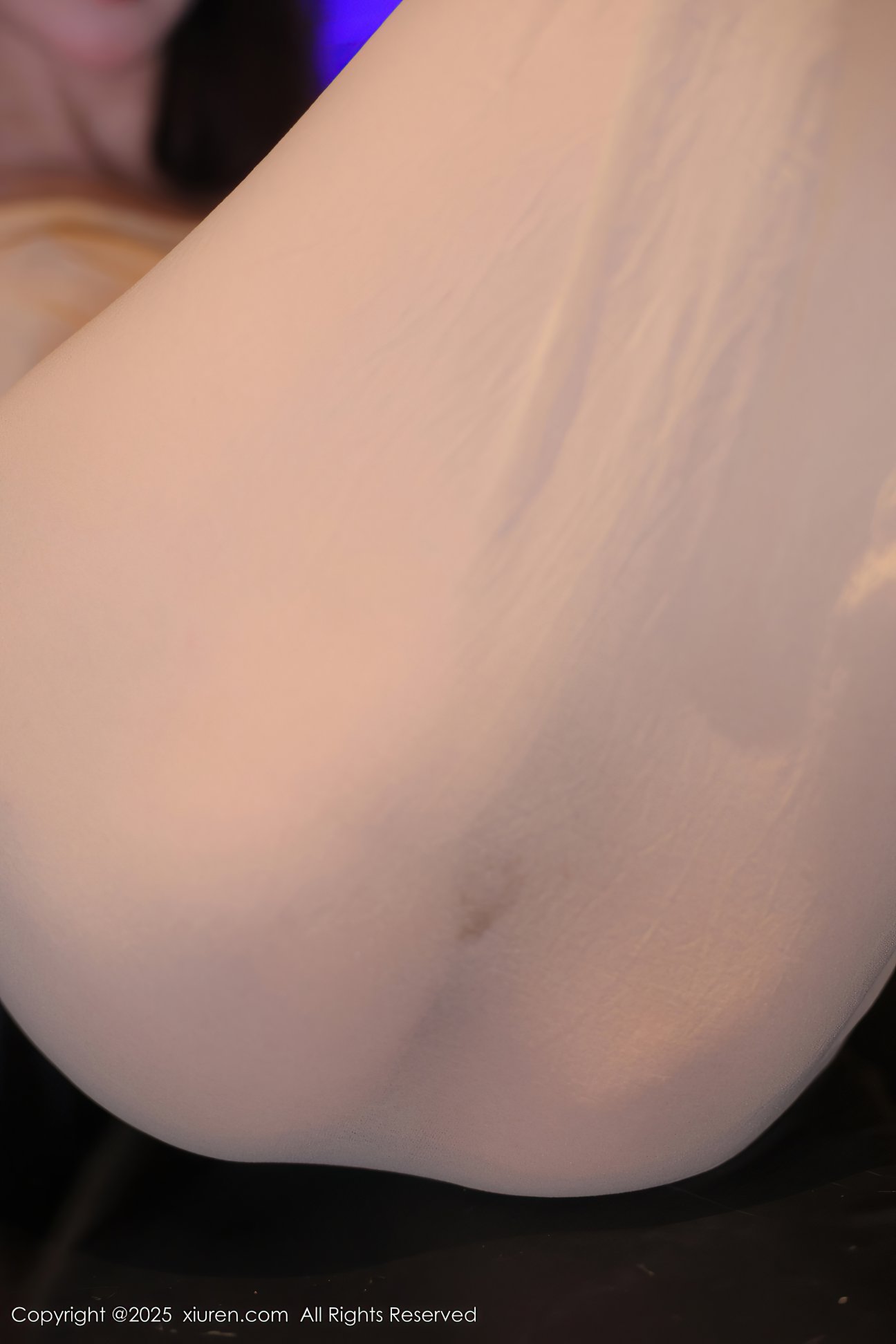 [XIUREN秀人网] 2025.02.08 NO.9860 candy糖糖 [85P-866MB]